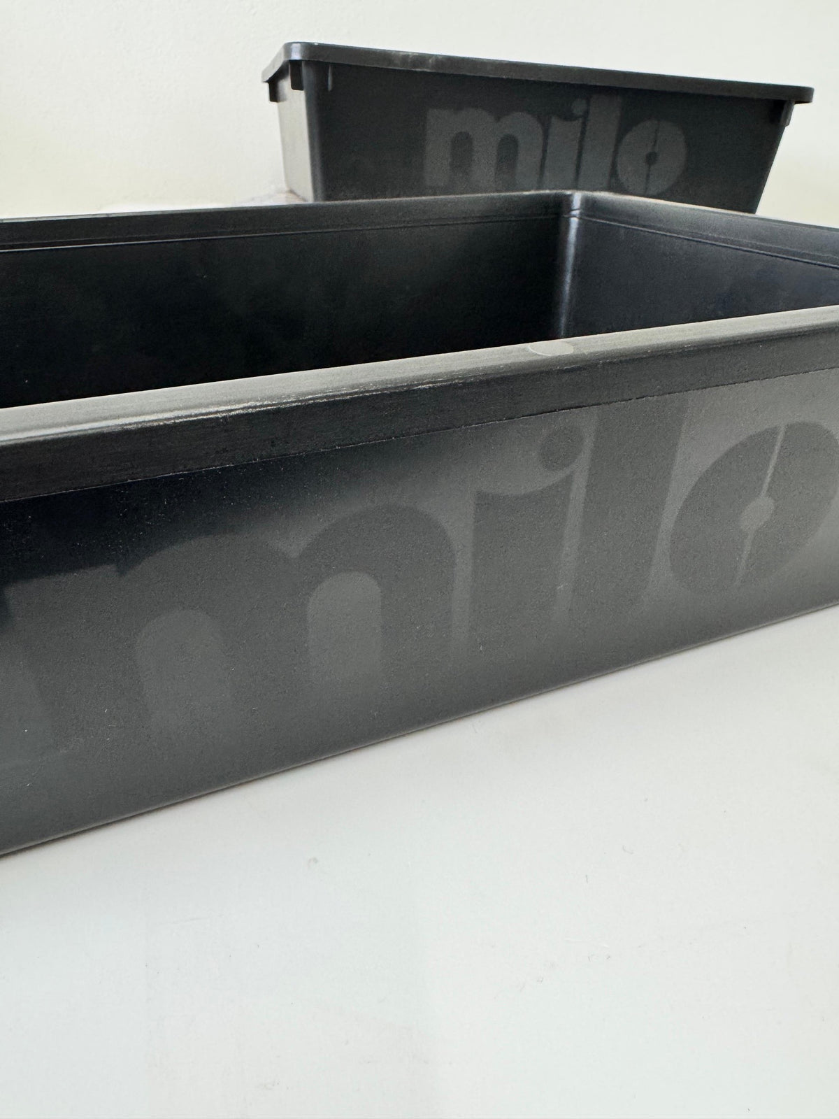 Milo Tardis Bowl Tray