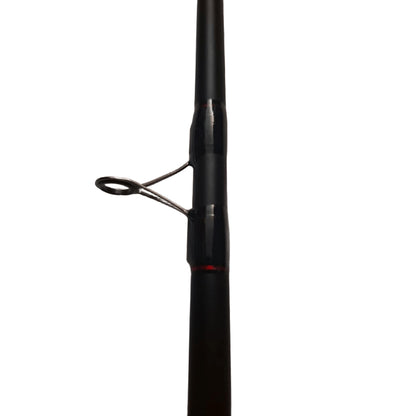 Float & Feeder Rod Combo